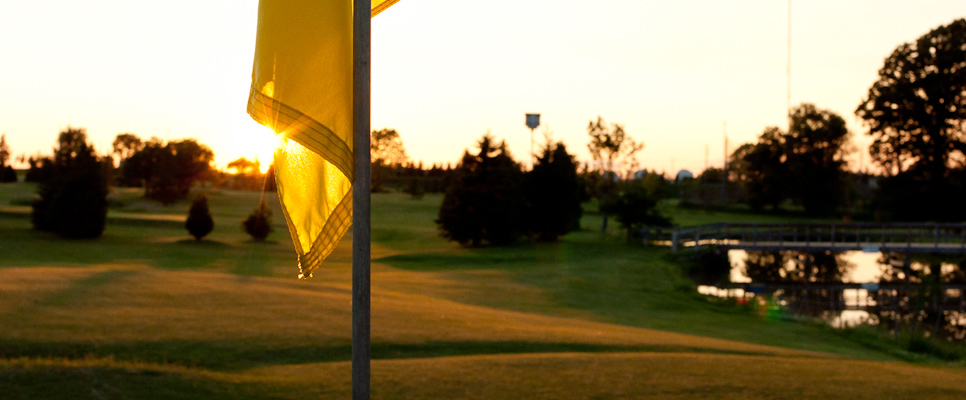 Pros Golf Centre - 6th Green